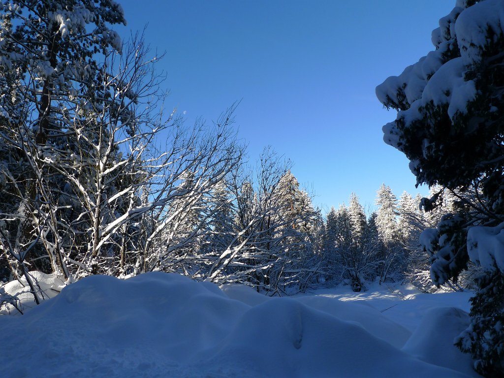 Christmas2010 172.JPG